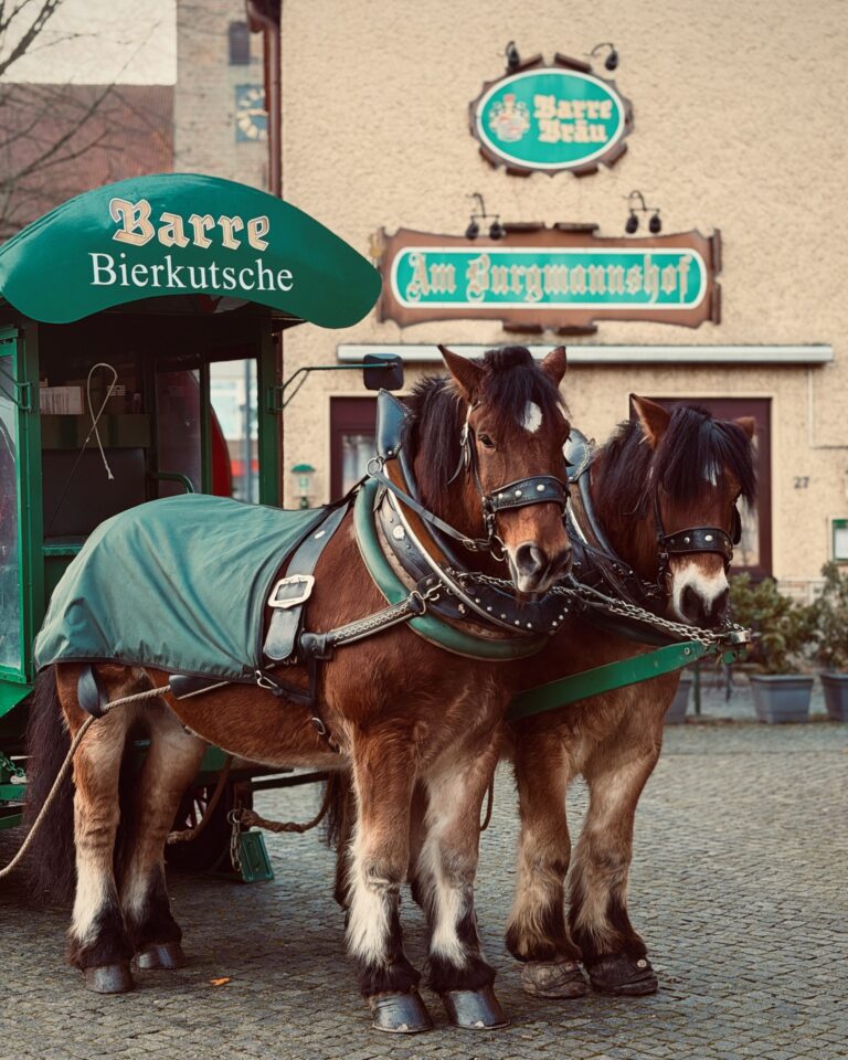 Bierfest Impression